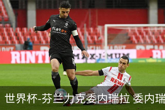 世界杯-芬兰力克委内瑞拉 委内瑞拉0胜5负告别