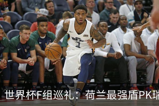 世界杯F组巡礼：荷兰最强盾PK瑞典犀利刀 日本短板明显