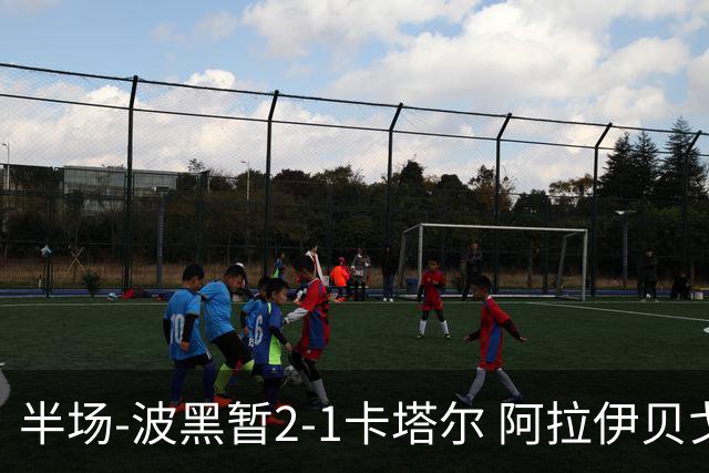 半场-波黑暂2-1卡塔尔 阿拉伊贝戈维奇世界波破门哲科造乌龙