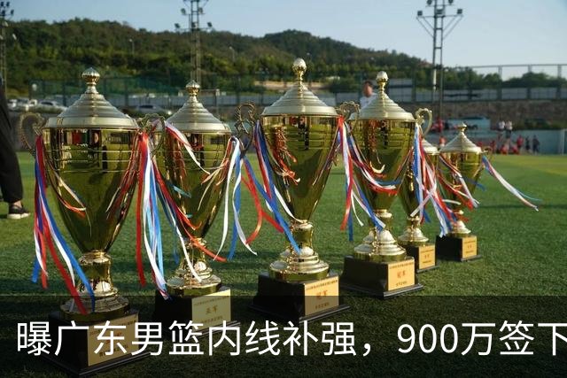 曝广东男篮内线补强，900万签下季后赛场均6.5分悍将，朱芳雨又现神操作