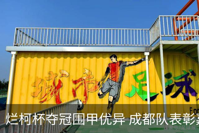 烂柯杯夺冠围甲优异 成都队表彰嘉奖党毅飞30万
